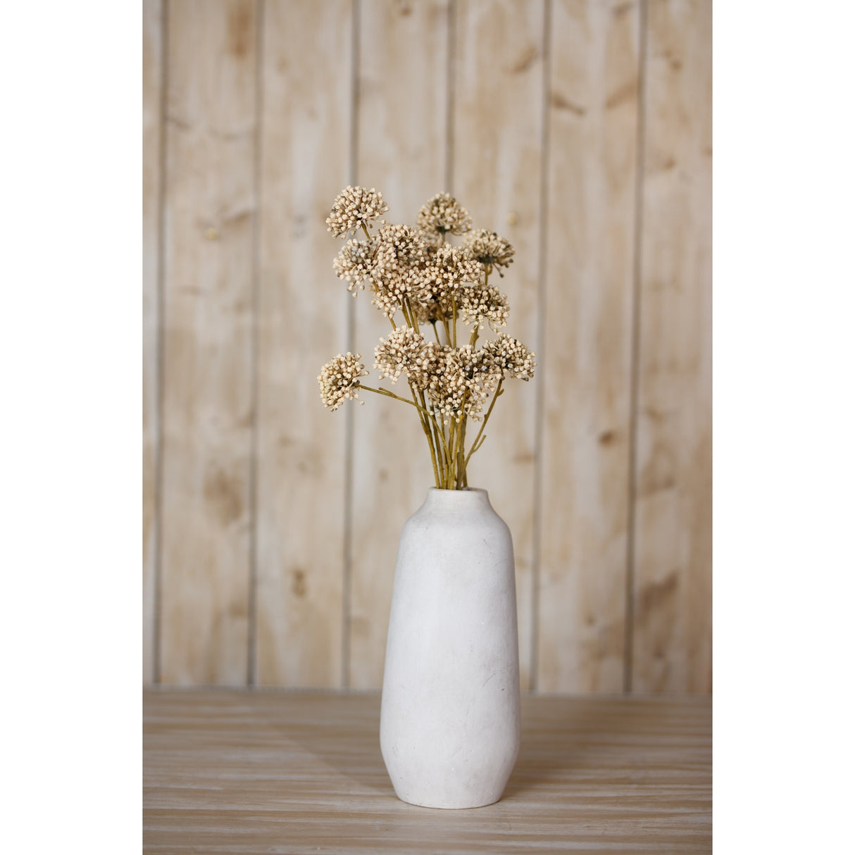 brown allium spray