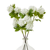 cream snowball viburnum spray