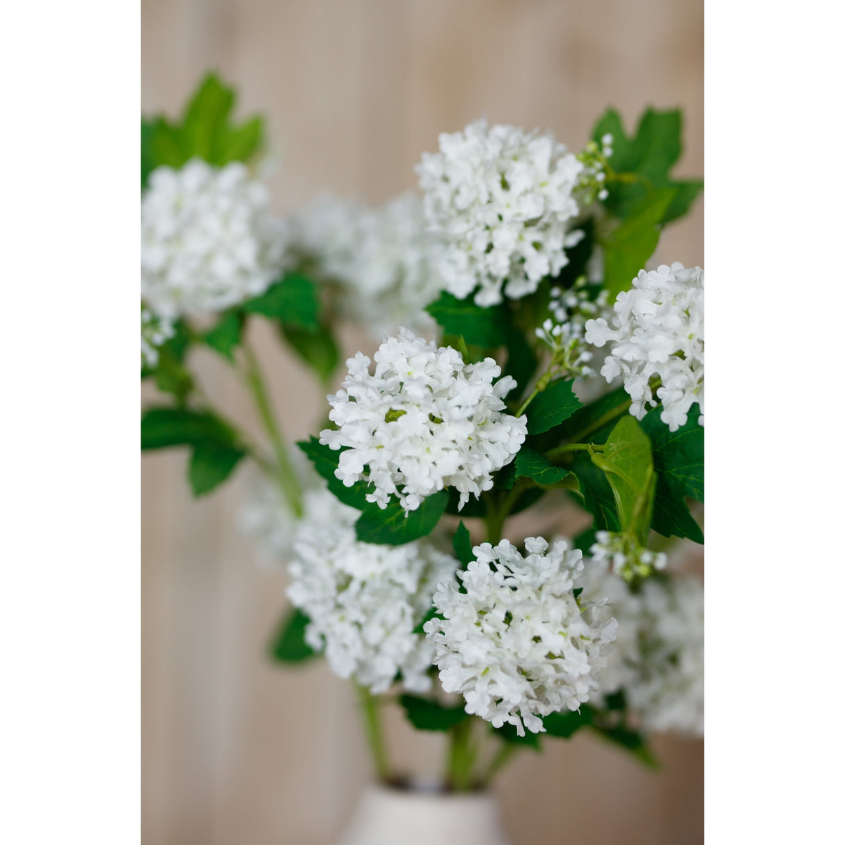 cream snowball viburnum spray