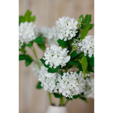 cream snowball viburnum spray