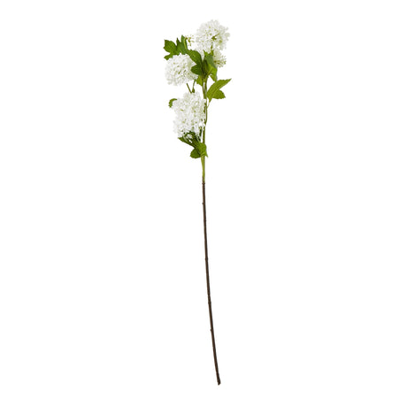 cream snowball viburnum spray
