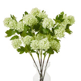 green snowball viburnum spray