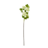 green snowball viburnum spray