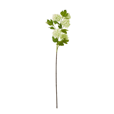 green snowball viburnum spray
