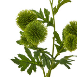 green globe thistle spray