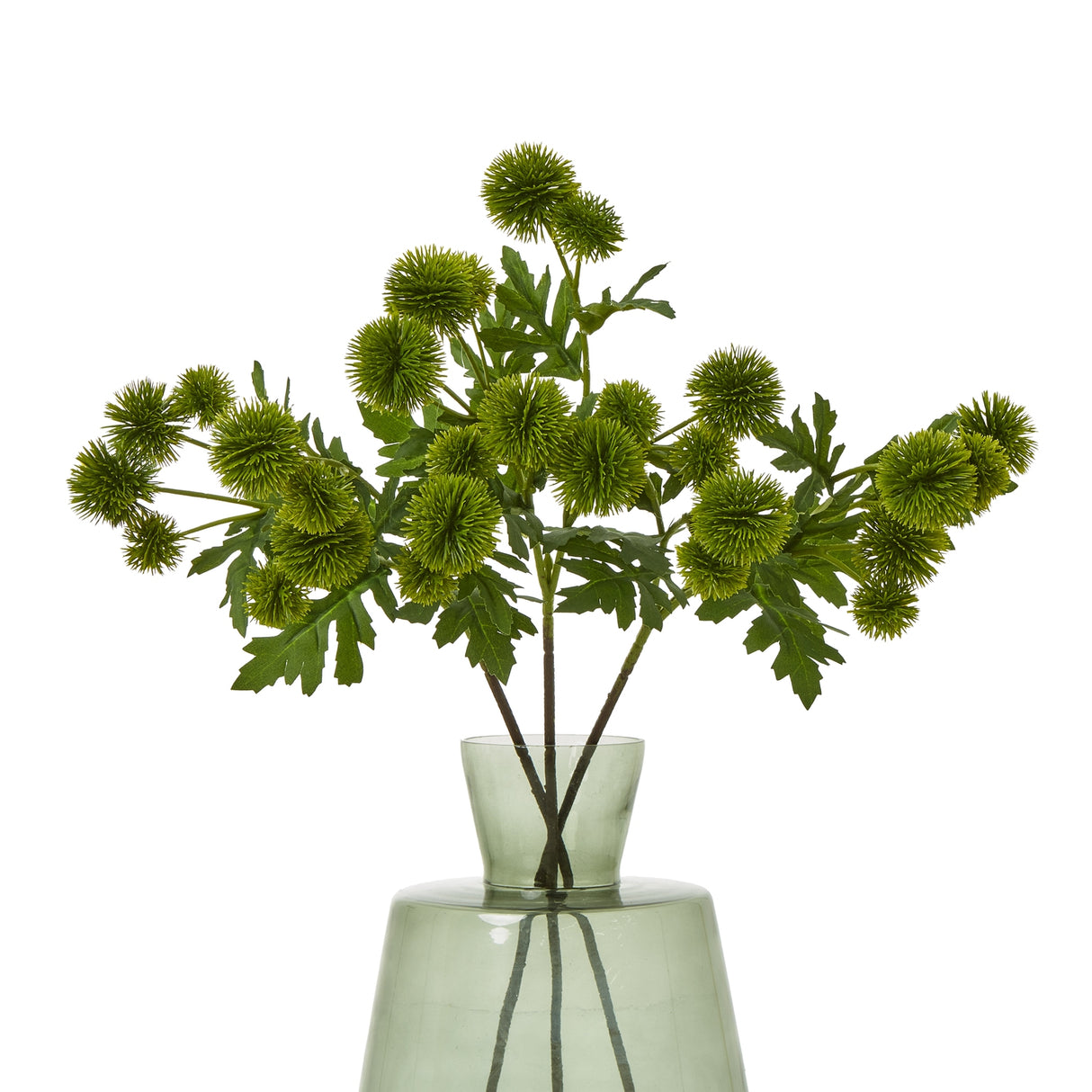 green globe thistle spray
