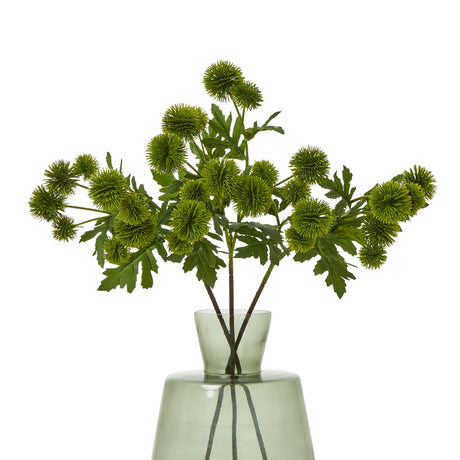 green globe thistle spray
