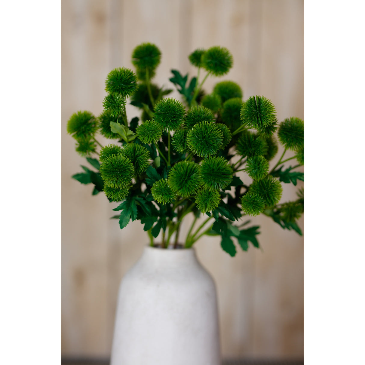 green globe thistle spray