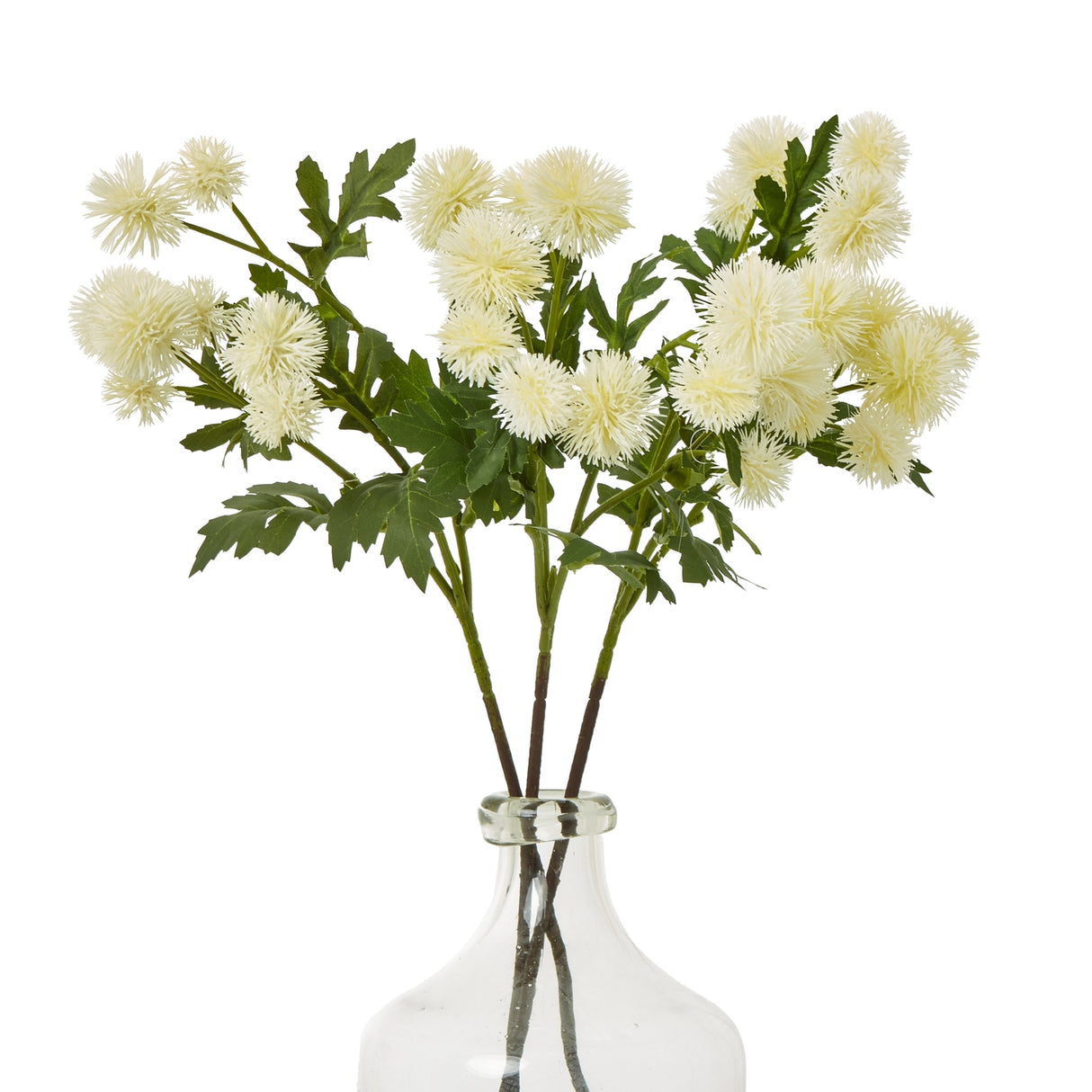 cream globe thistle spray