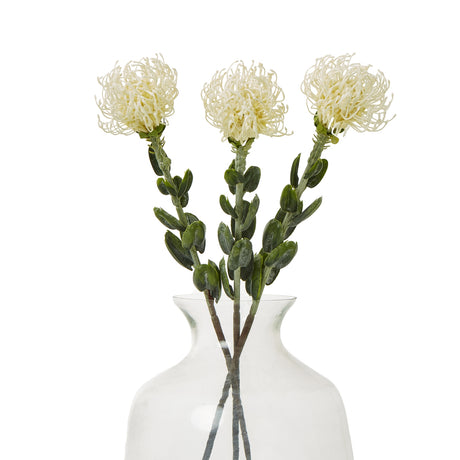 cream pincushion protea spray