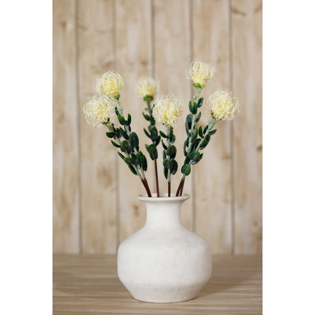 cream pincushion protea spray