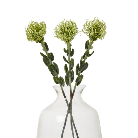 green pincushion protea spray