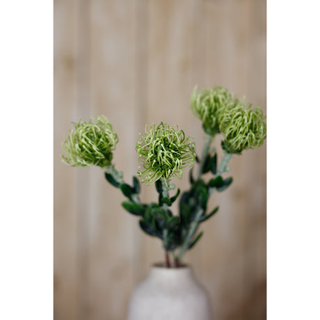 green pincushion protea spray