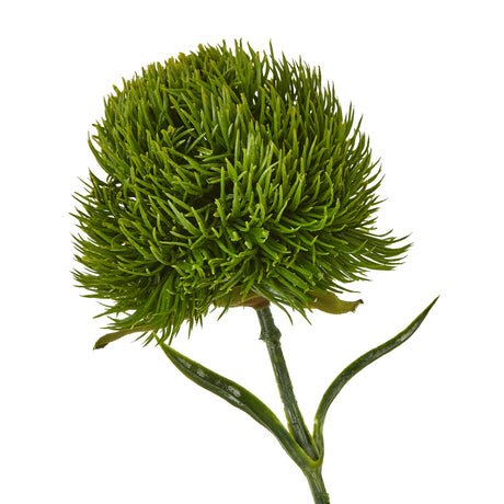 dark green dianthus stem