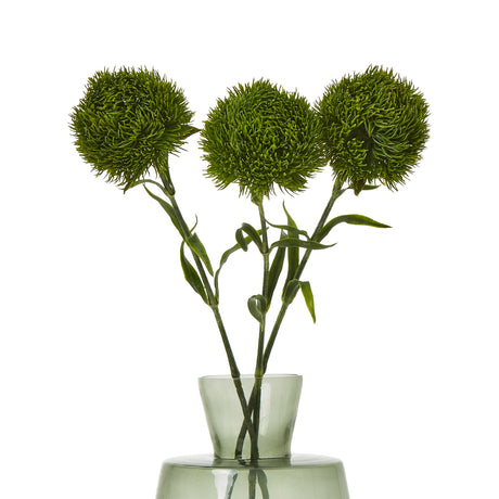 dark green dianthus stem