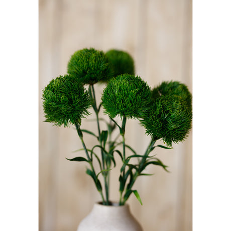 dark green dianthus stem