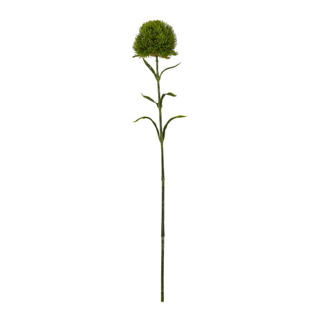 dark green dianthus stem