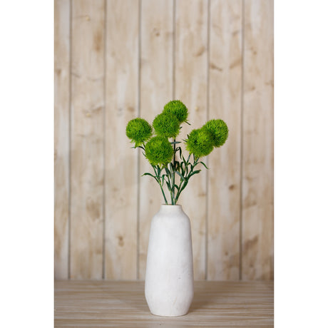 light green dianthus stem