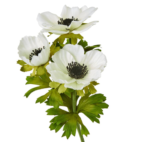 white anemone spray