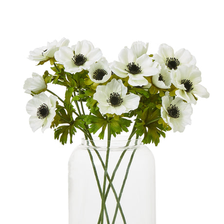 white anemone spray