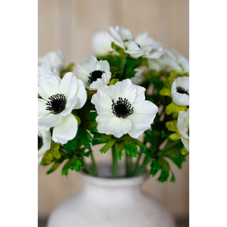 white anemone spray