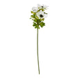 white anemone spray