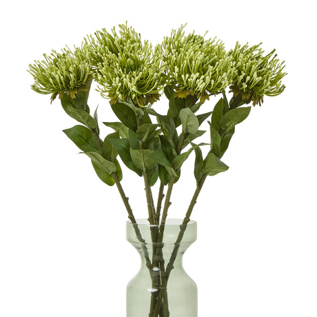 green protea lorea stem