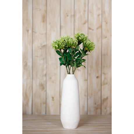 green protea lorea stem