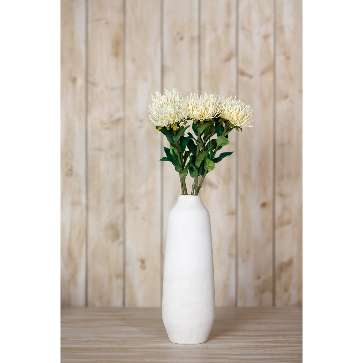 cream protea lorea stem