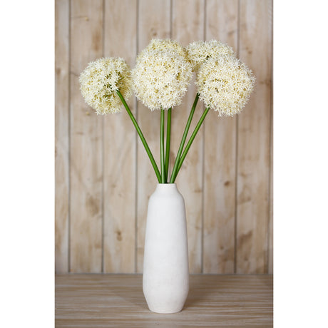 cream giant allium stem