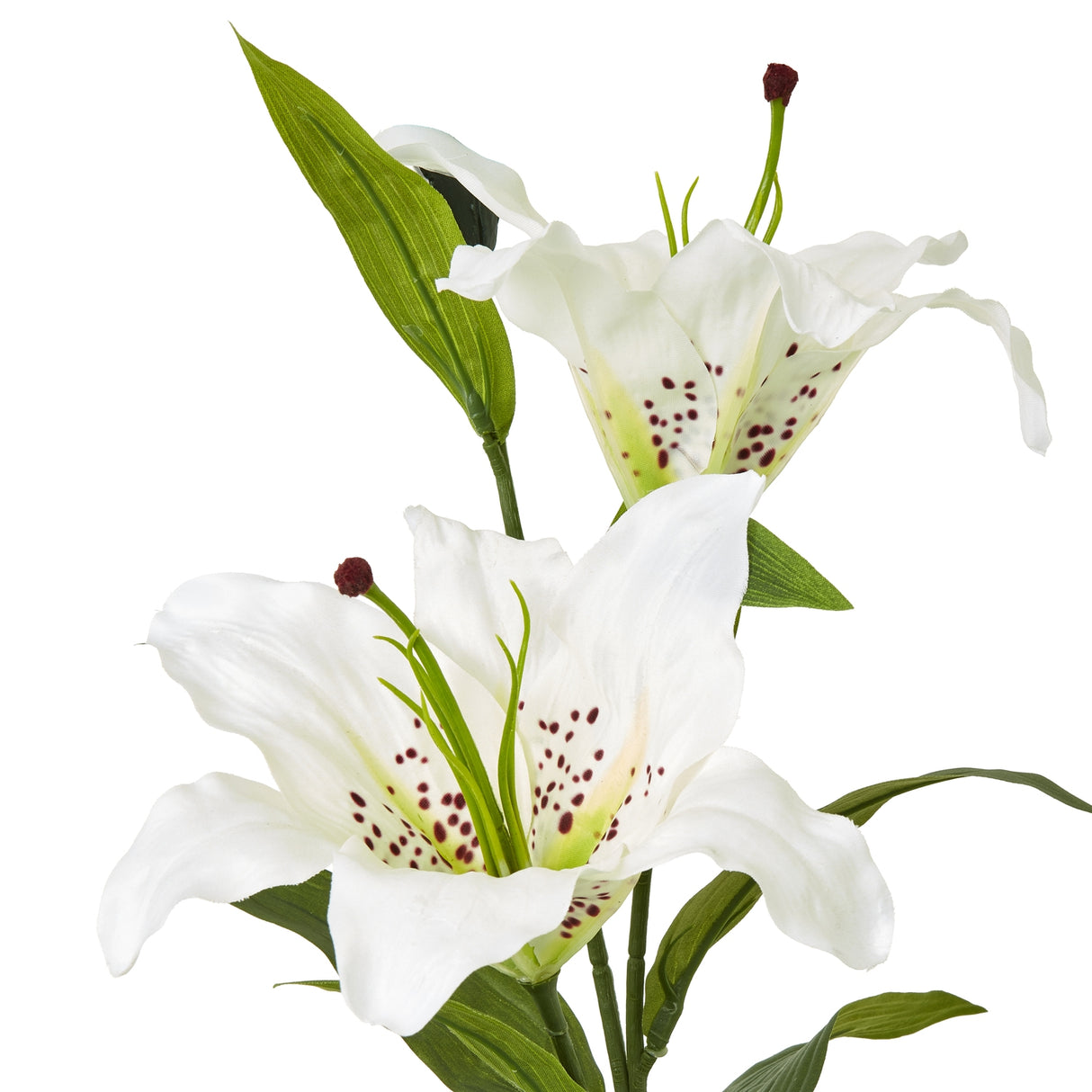 white madonna lily spray
