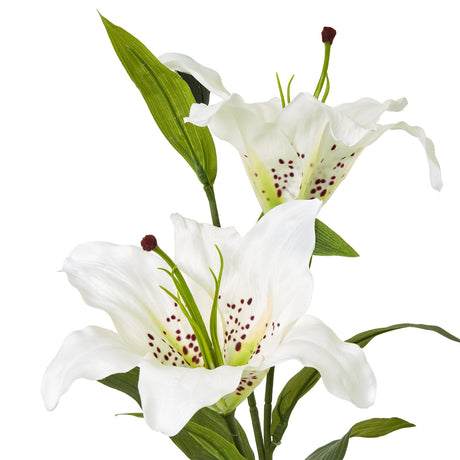 white madonna lily spray