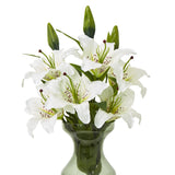 white madonna lily spray