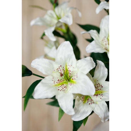 white madonna lily spray