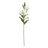 white madonna lily spray
