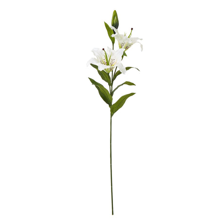 white madonna lily spray