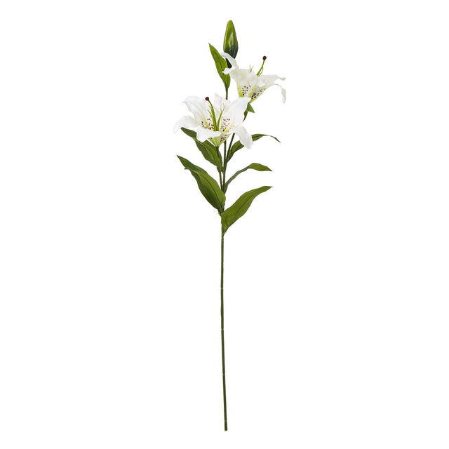white madonna lily spray