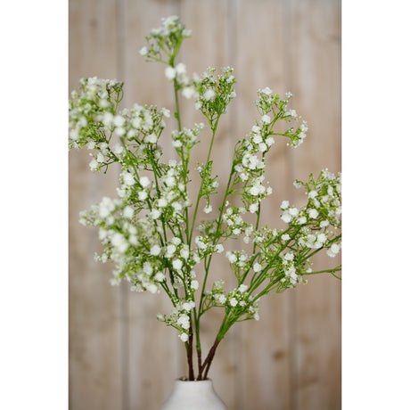 cream gypsophila spray