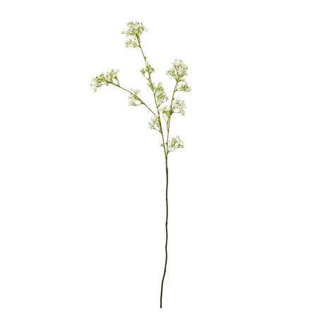 cream gypsophila spray