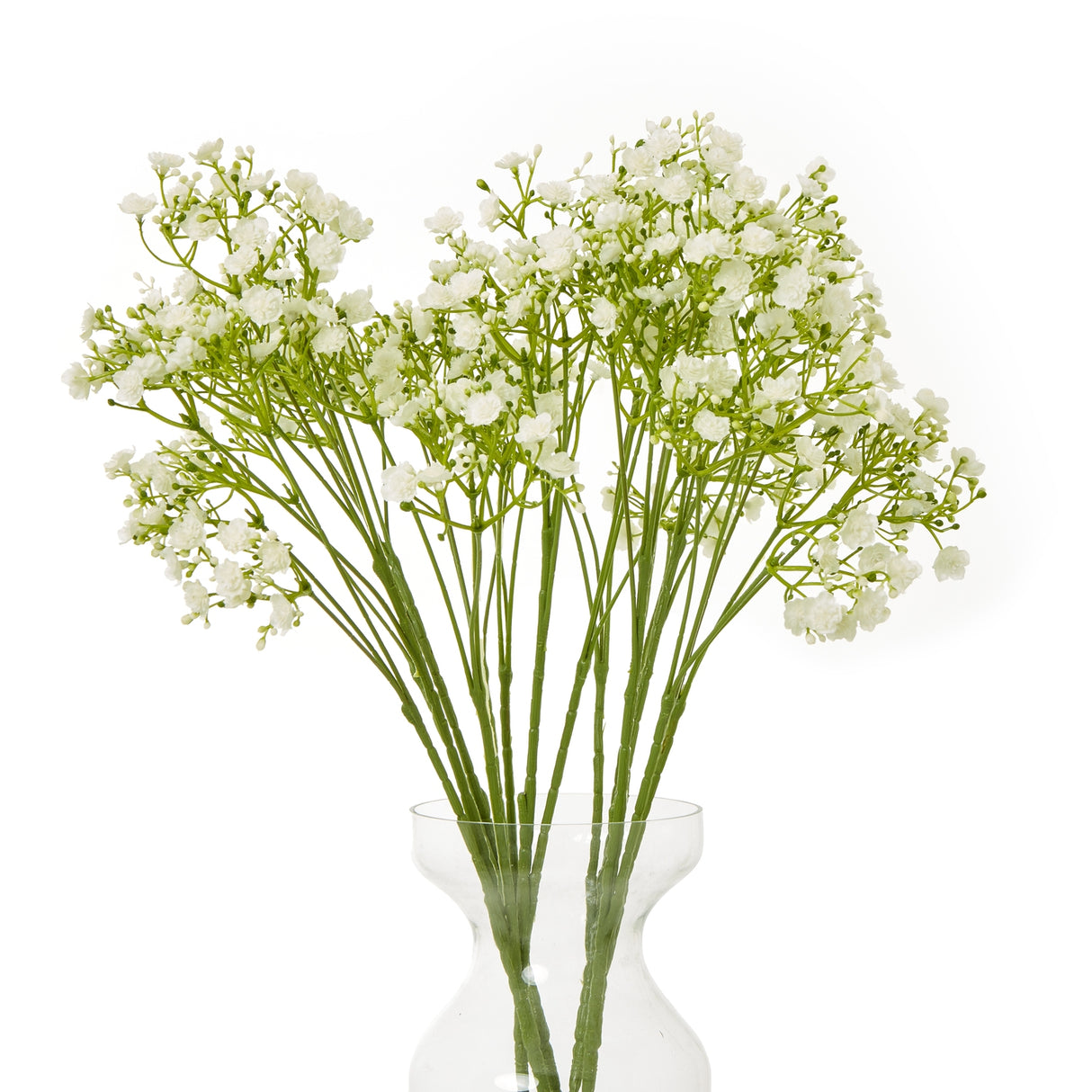 cream gypsophila stem