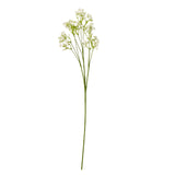 cream gypsophila stem