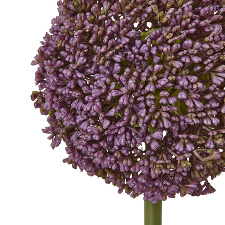 purple allium stem