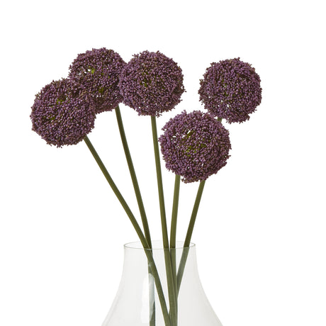 purple allium stem
