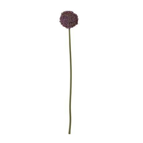purple allium stem