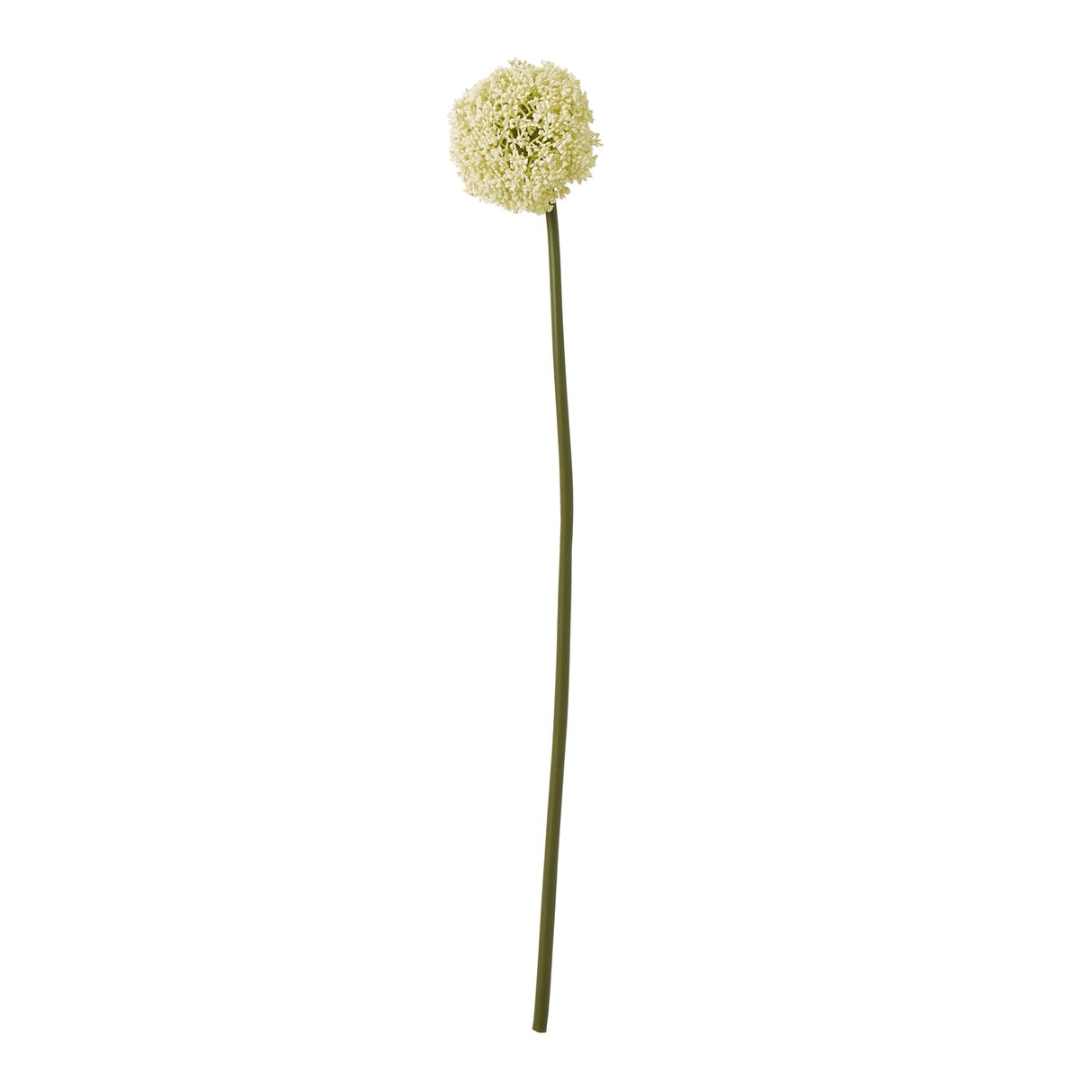 Tess Allium Stem