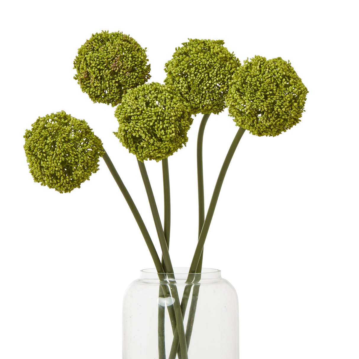 green allium stem