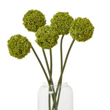 green allium stem
