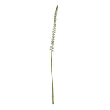 Yvonne Eremurus Stem (White)