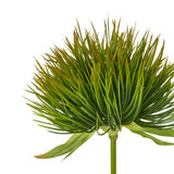 green moss stem