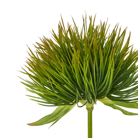 green moss stem
